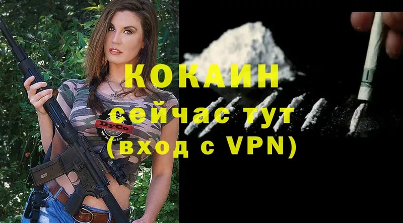 Cocaine FishScale  где продают   Краснотурьинск 